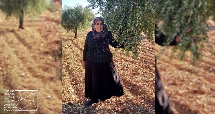 صورة خاصة بسوريون من أجل الحقيقة والعدالة تُظهر السيدة الكردية مَلك خليل إيبو في حقول الزيتون في عفرين قبل وفاتها